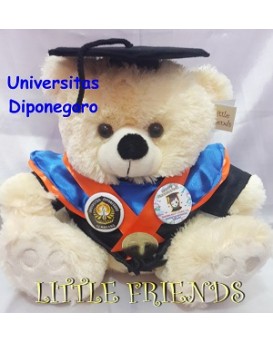 Boneka Wisuda Universitas Diponegoro - Administrasi Publik (30 cm)